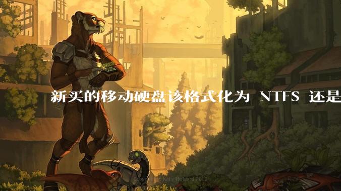 新买的移动硬盘该格式化为 NTFS 还是 exFAT？