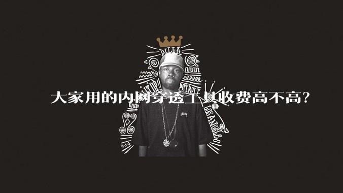 大家用的内网穿透工具收费高不高？