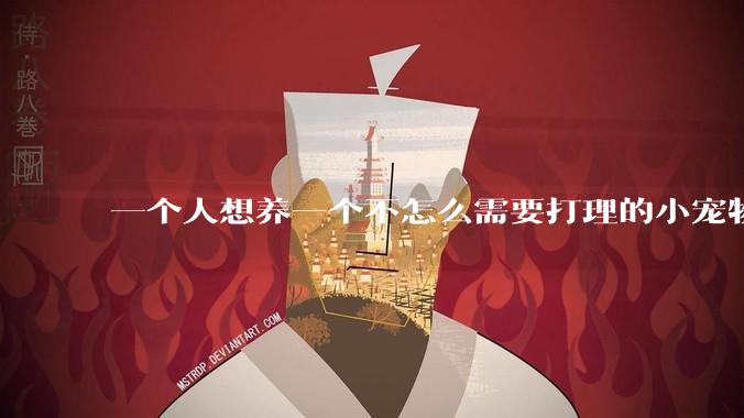 一个人想养一个不怎么需要打理的小宠物，有什么推荐的？