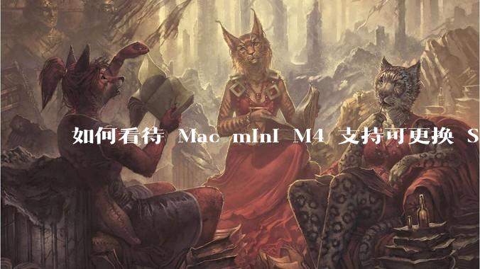 如何看待 Mac mini M4 支持可更换 SSD？