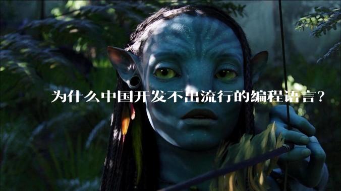 为什么中国开发不出流行的编程语言？