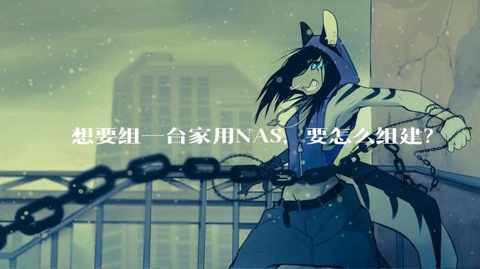 想要组一台家用NAS，要怎么组建？