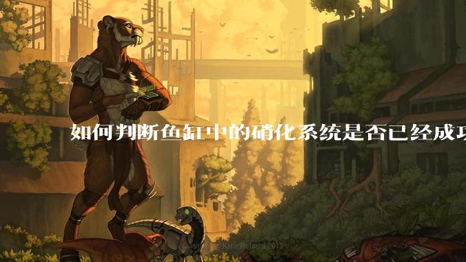 如何判断鱼缸中的硝化系统是否已经成功建立？