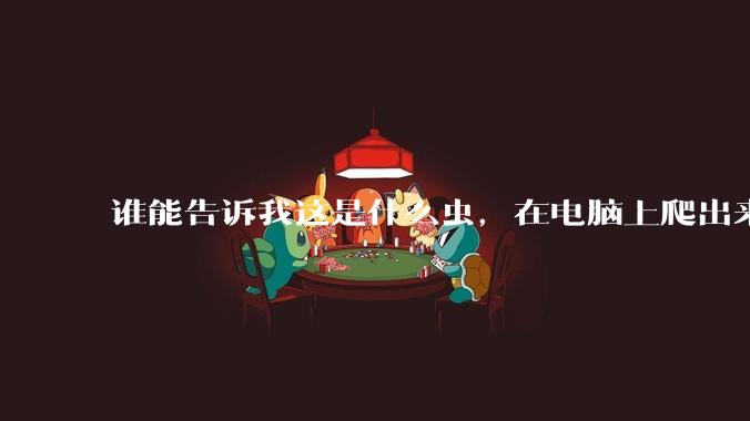 谁能告诉我这是什么虫，在电脑上爬出来吓死我了 ?
