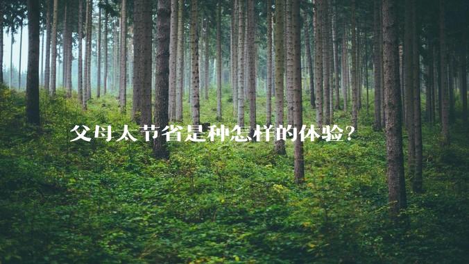 父母太节省是种怎样的体验？