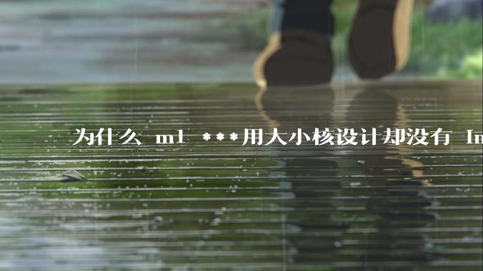为什么 m1 ***用大小核设计却没有 intel 的问题？