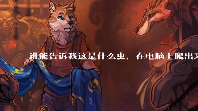 谁能告诉我这是什么虫，在电脑上爬出来吓死我了 ?