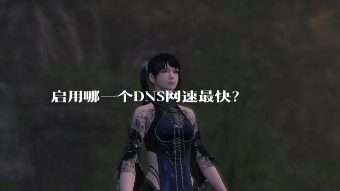 启用哪一个DNS网速最快？