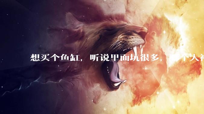 想买个鱼缸，听说里面坑很多，哪个大神给讲解一下呀？