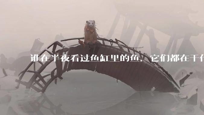 谁在半夜看过鱼缸里的鱼，它们都在干什么？