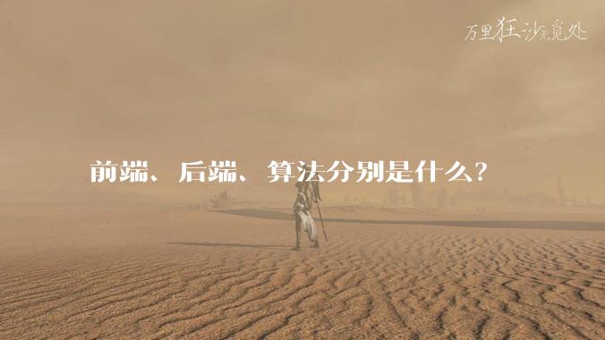 前端、后端、算法分别是什么？