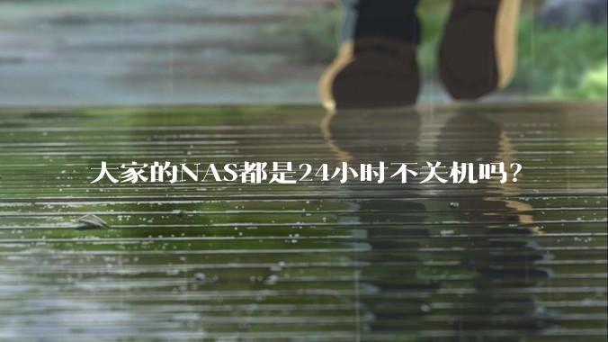 大家的NAS都是24小时不关机吗？
