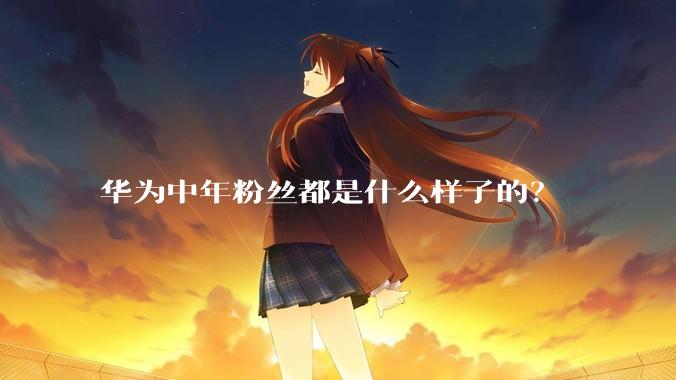 华为中年粉丝都是什么样子的？