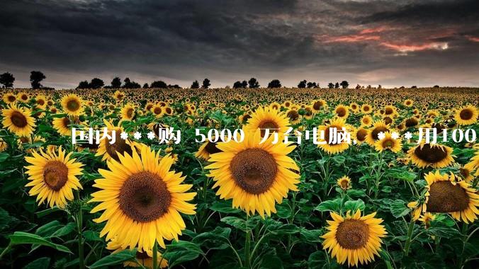 国内***购 5000 万台电脑，***用100％ 国产芯和操作系统，意味着什么？