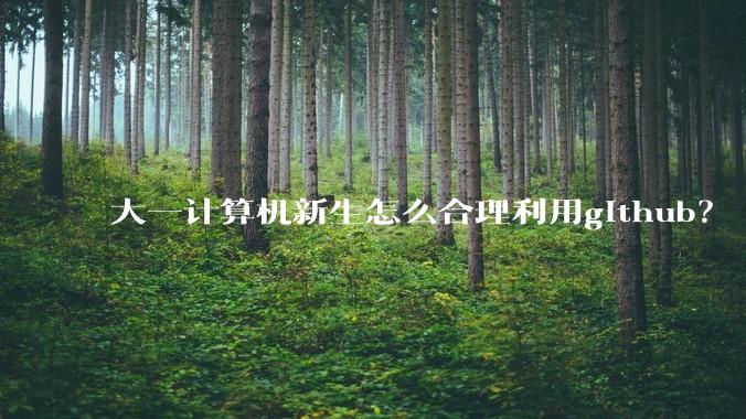 大一计算机新生怎么合理利用github？