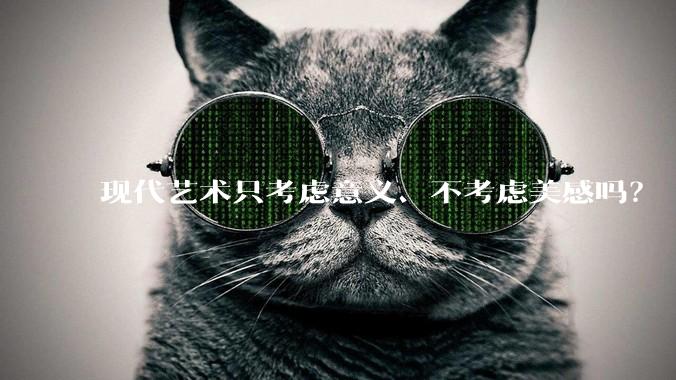 现代艺术只考虑意义、不考虑美感吗？