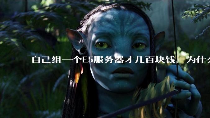 自己组一个E5服务器才几百块钱，为什么去阿里云租这么贵?