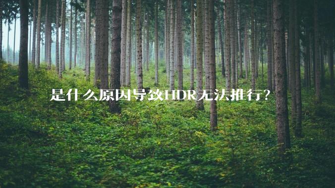 是什么原因导致HDR无法推行？