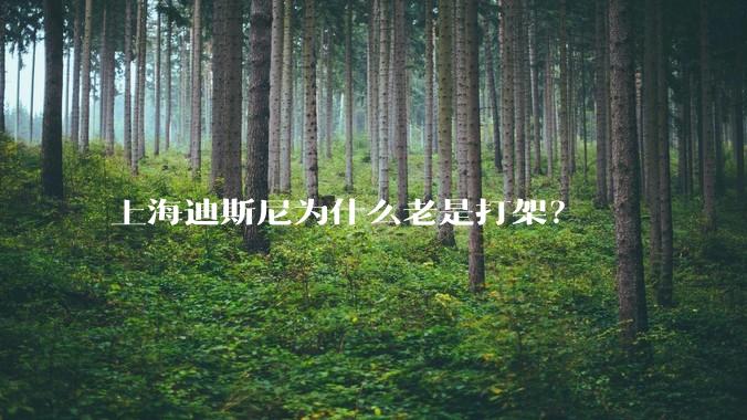 上海迪斯尼为什么老是打架？