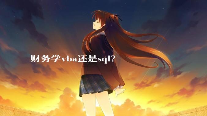 财务学vba还是sql？