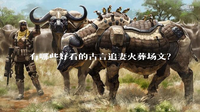 有哪些好看的古言追妻火葬场文？