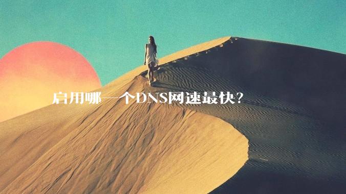 启用哪一个DNS网速最快？