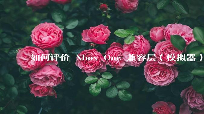 如何评价 Xbox One 兼容层（模拟器） XWine1？
