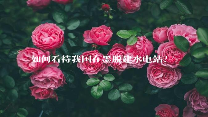 如何看待我国在墨脱建水电站？