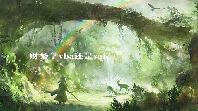 财务学vba还是sql？