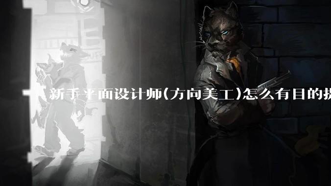 新手平面设计师(方向美工)怎么有目的提升设计能力？