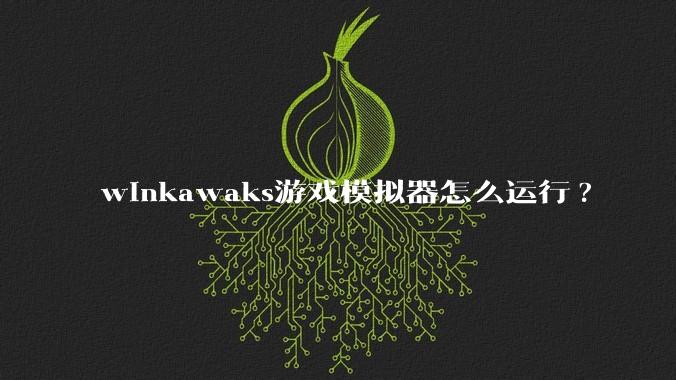 winkawaks游戏模拟器怎么运行?
