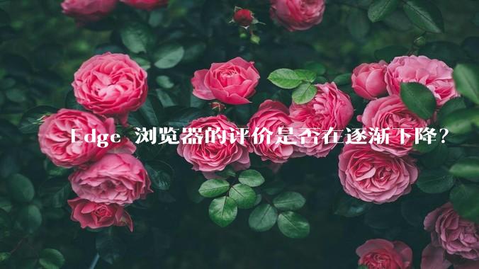 Edge 浏览器的评价是否在逐渐下降？