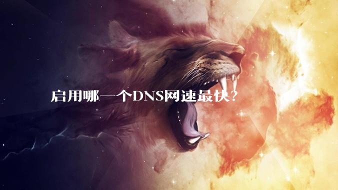 启用哪一个DNS网速最快？