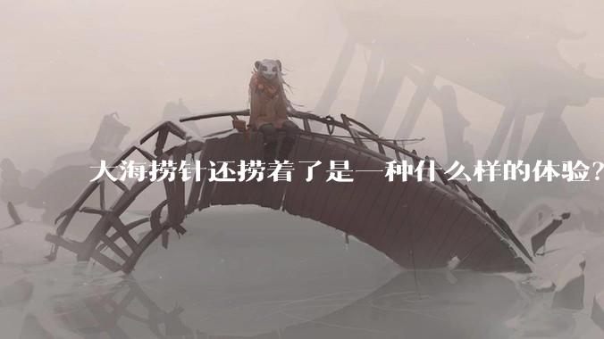 大海捞针还捞着了是一种什么样的体验？