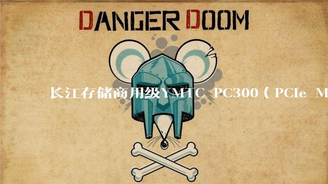 长江存储商用级YMTC PC300（PCIe M.2 2280）固态硬盘怎么样？