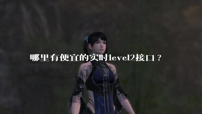 哪里有便宜的实时level2接口?