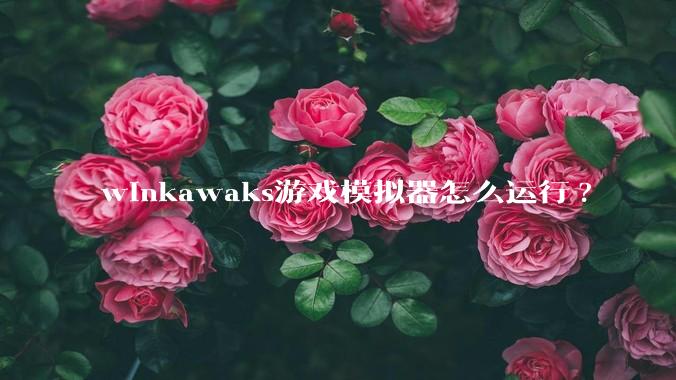 winkawaks游戏模拟器怎么运行?