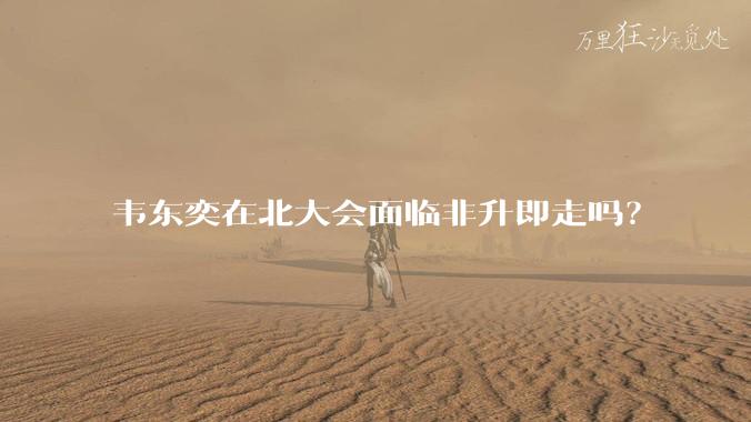 韦东奕在北大会面临非升即走吗？