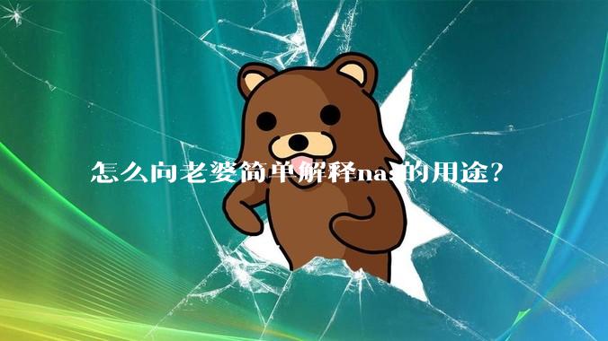 怎么向老婆简单解释nas的用途？