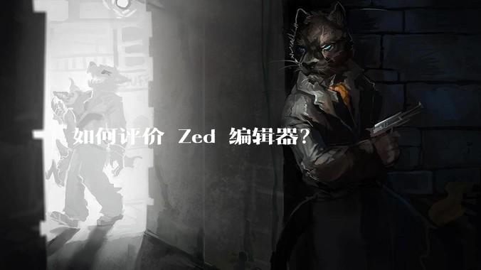 如何评价 Zed 编辑器？