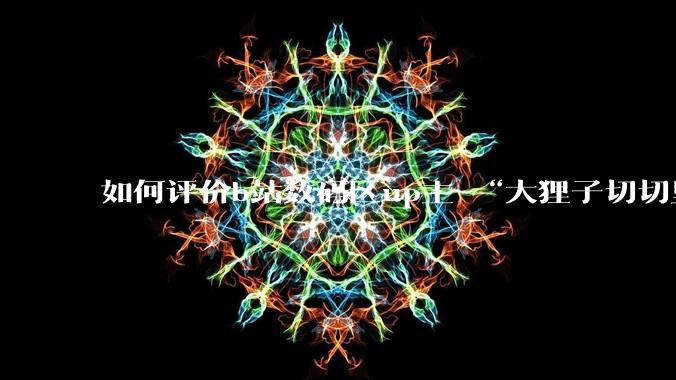 如何评价b站数码区up主 “大狸子切切里”?