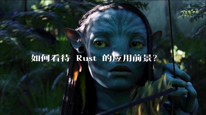 如何看待 Rust 的应用前景？