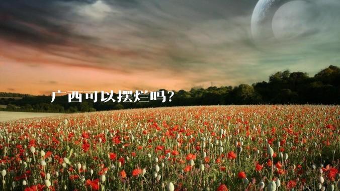广西可以摆烂吗？