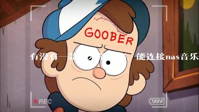 有没有一款音乐播放器，能连接nas音乐，创建音乐库，自动匹配歌词封面等等？类似infuse的概念呢？