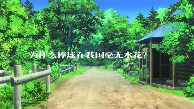 为什么棒球在我国毫无水花？