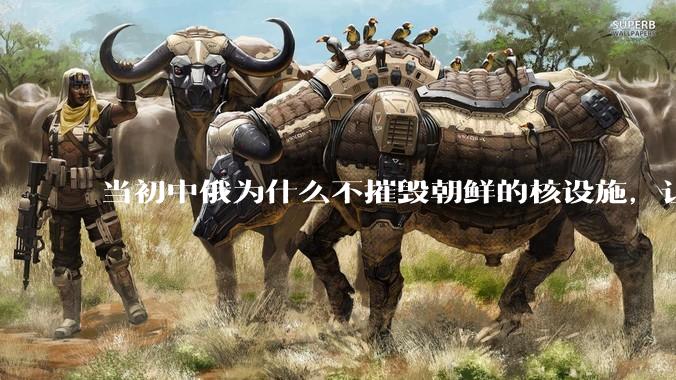 当初中俄为什么不摧毁朝鲜的核设施，让朝鲜拥有了自己的核武器？