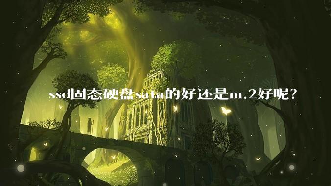 ssd固态硬盘sata的好还是m.2好呢？