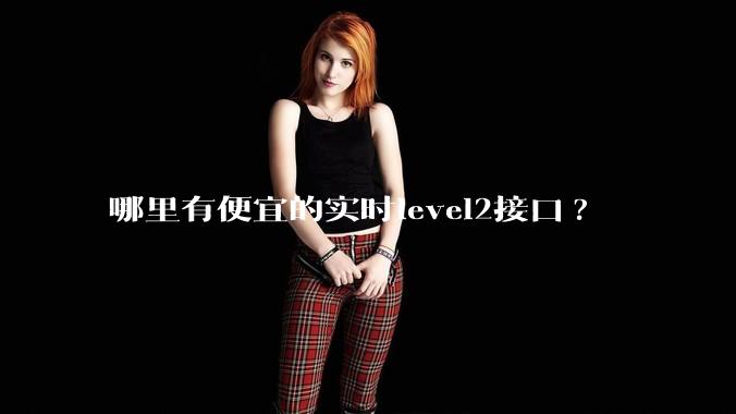 哪里有便宜的实时level2接口?