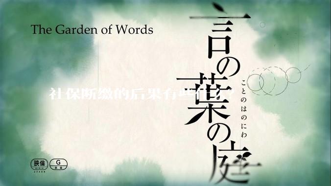 社保断缴的后果有些什么？