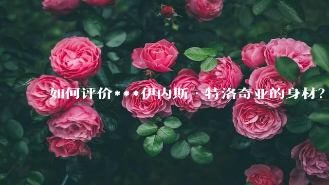 如何评价***伊内斯·特洛奇亚的身材？